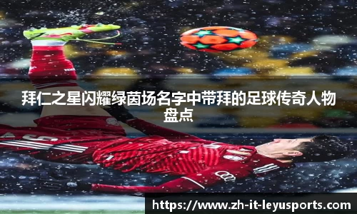乐鱼体育官网